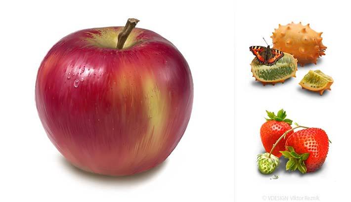 Illustration Apfel | Reitenbach Großhandel